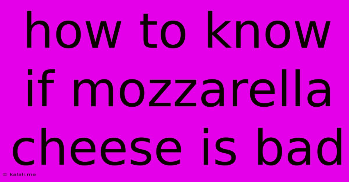 How To Know If Mozzarella Cheese Is Bad