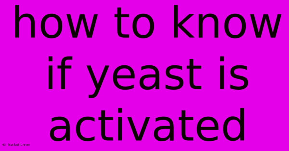 How To Know If Yeast Is Activated