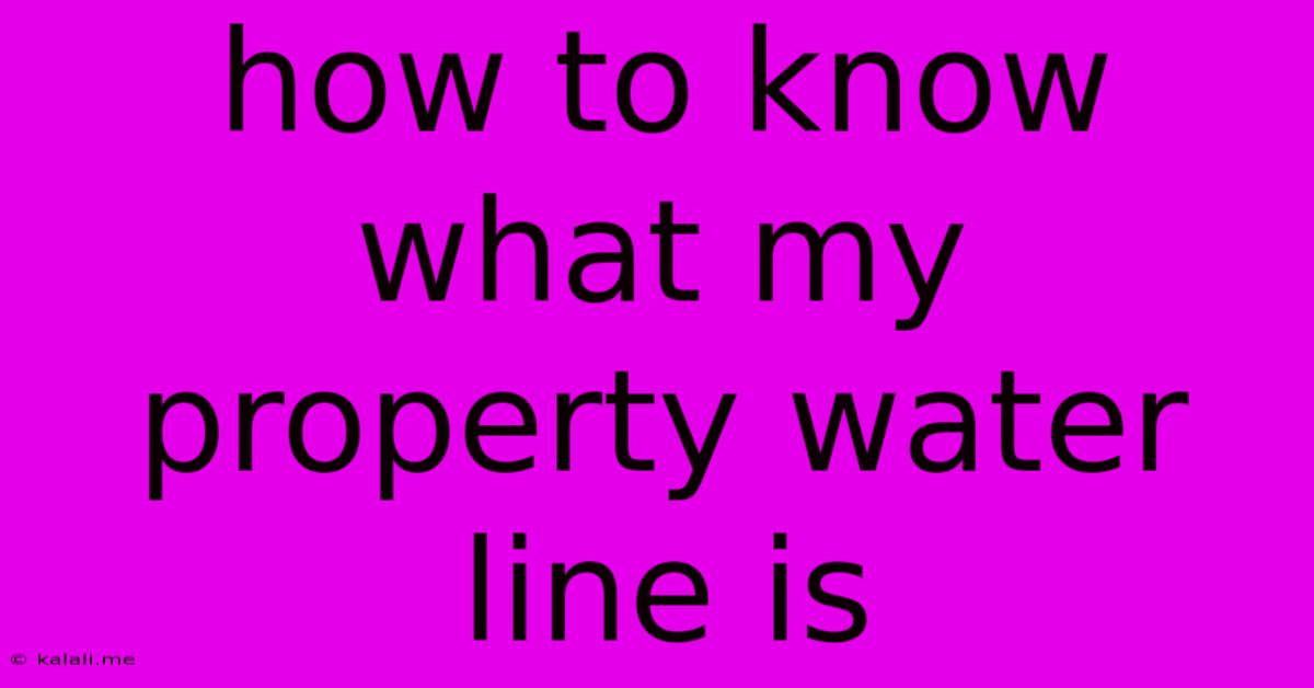How To Know What My Property Water Line Is