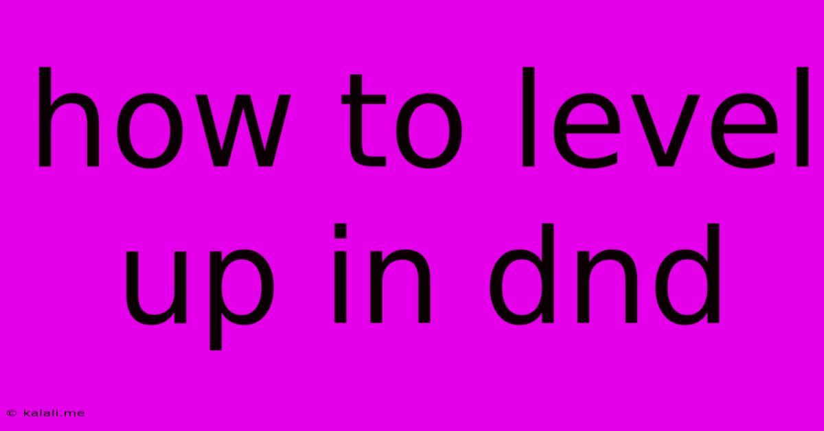 How To Level Up In Dnd