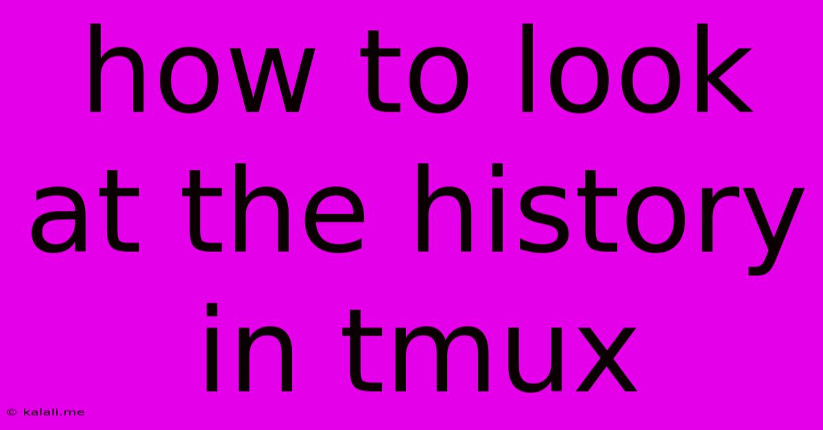How To Look At The History In Tmux