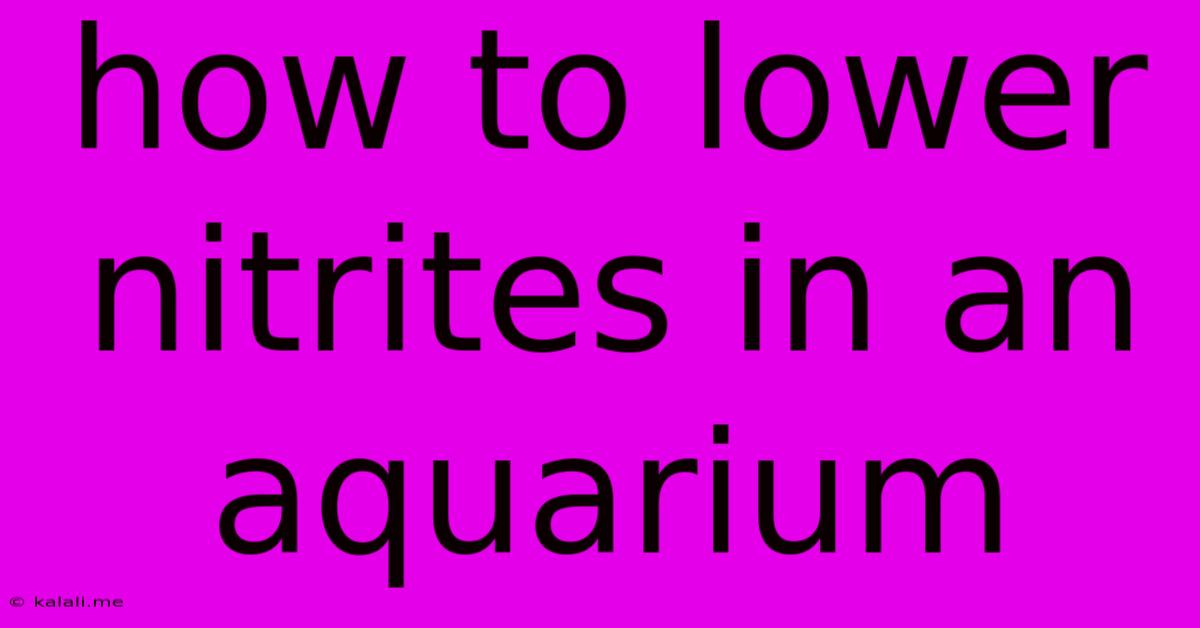 How To Lower Nitrites In An Aquarium