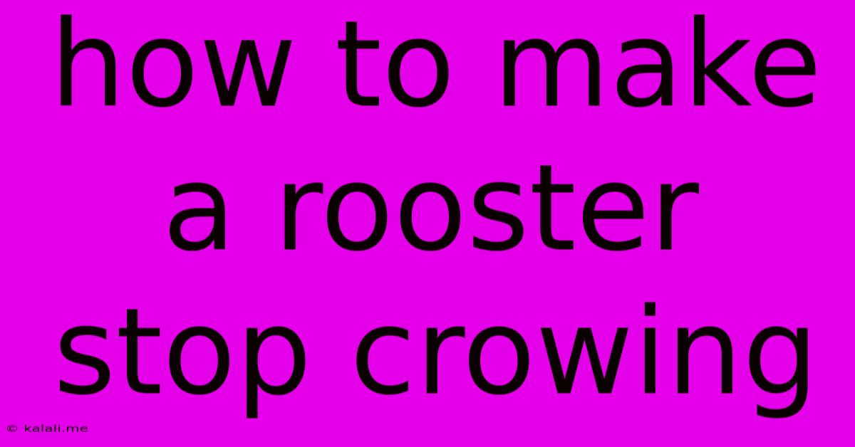 How To Make A Rooster Stop Crowing