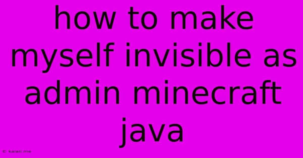 How To Make Myself Invisible As Admin Minecraft Java