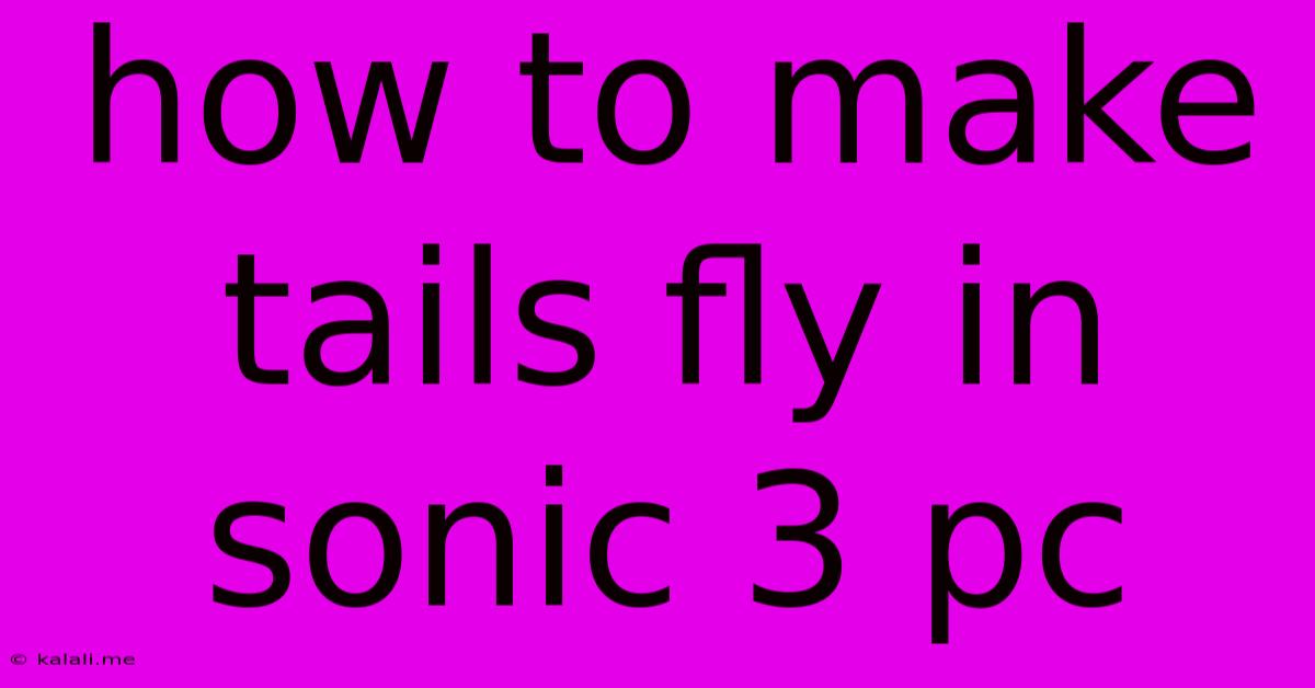 How To Make Tails Fly In Sonic 3 Pc