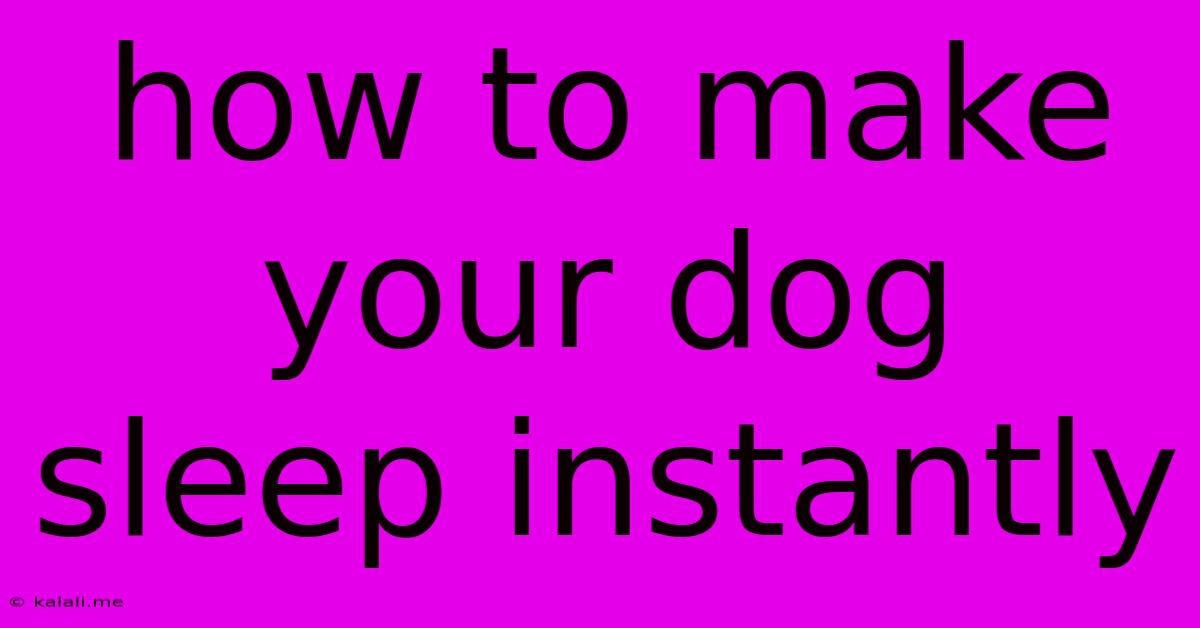 How To Make Your Dog Sleep Instantly