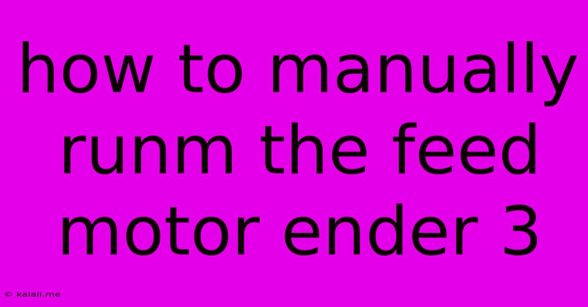 How To Manually Runm The Feed Motor Ender 3