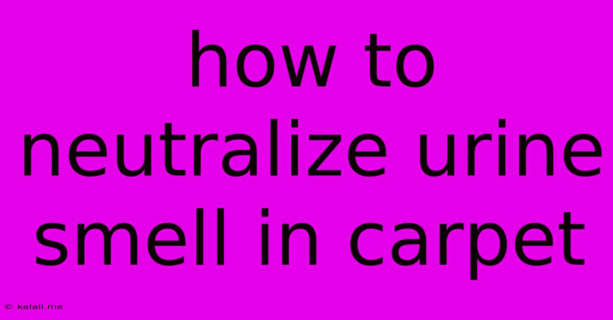 How To Neutralize Urine Smell In Carpet