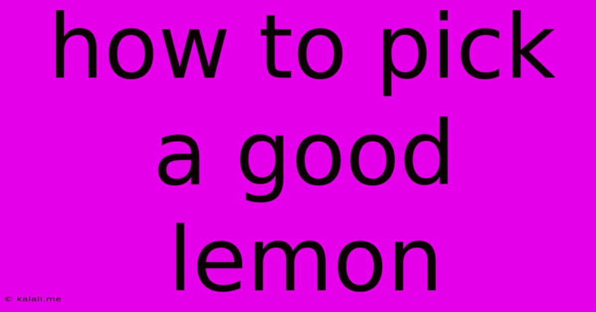 How To Pick A Good Lemon
