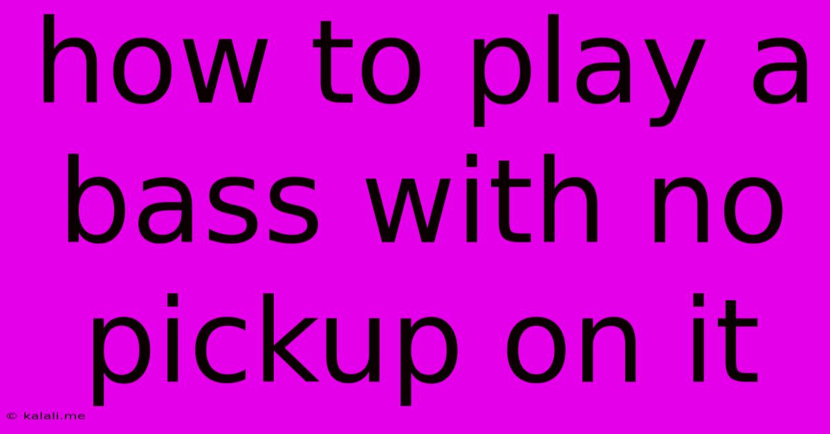 How To Play A Bass With No Pickup On It