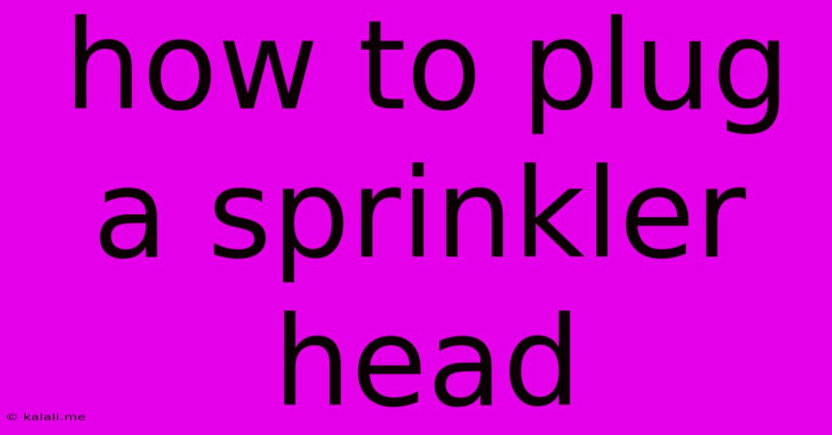 How To Plug A Sprinkler Head
