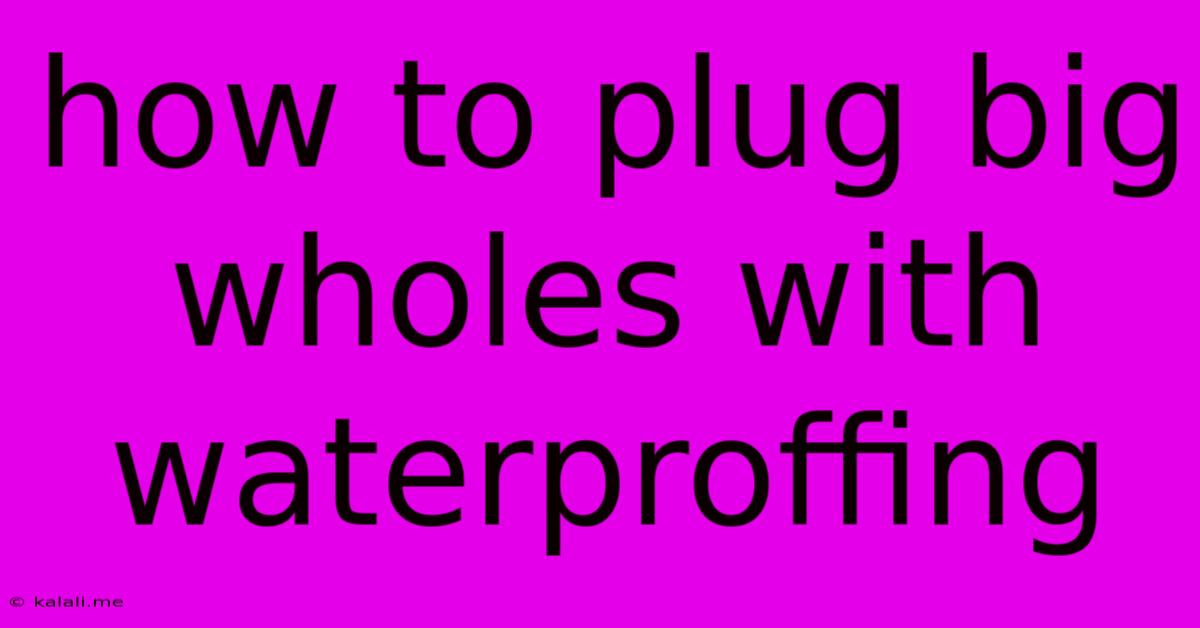 How To Plug Big Wholes With Waterproffing