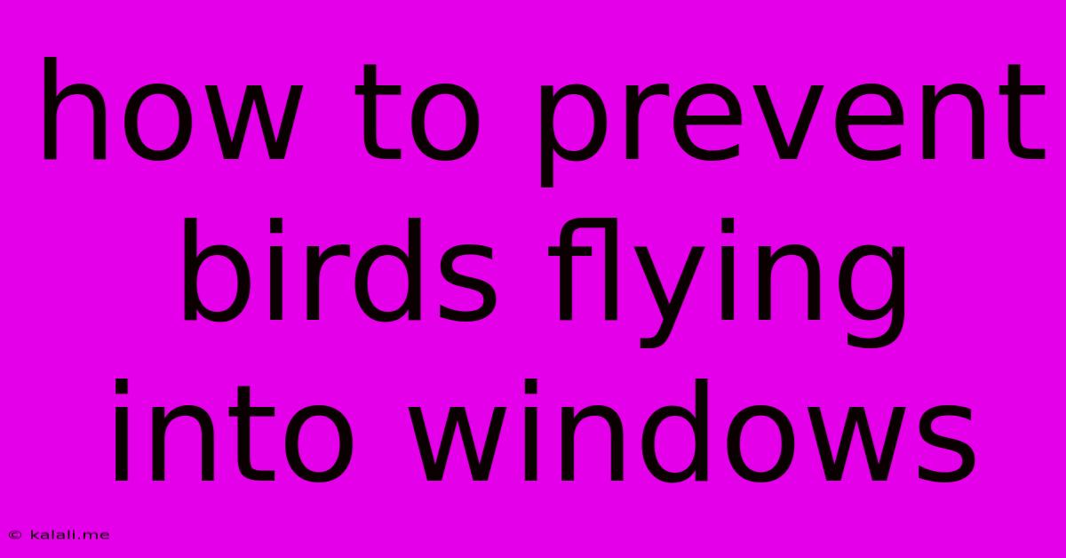 How To Prevent Birds Flying Into Windows