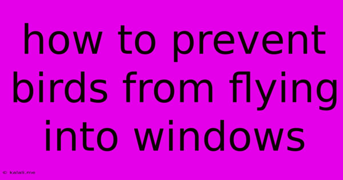 How To Prevent Birds From Flying Into Windows