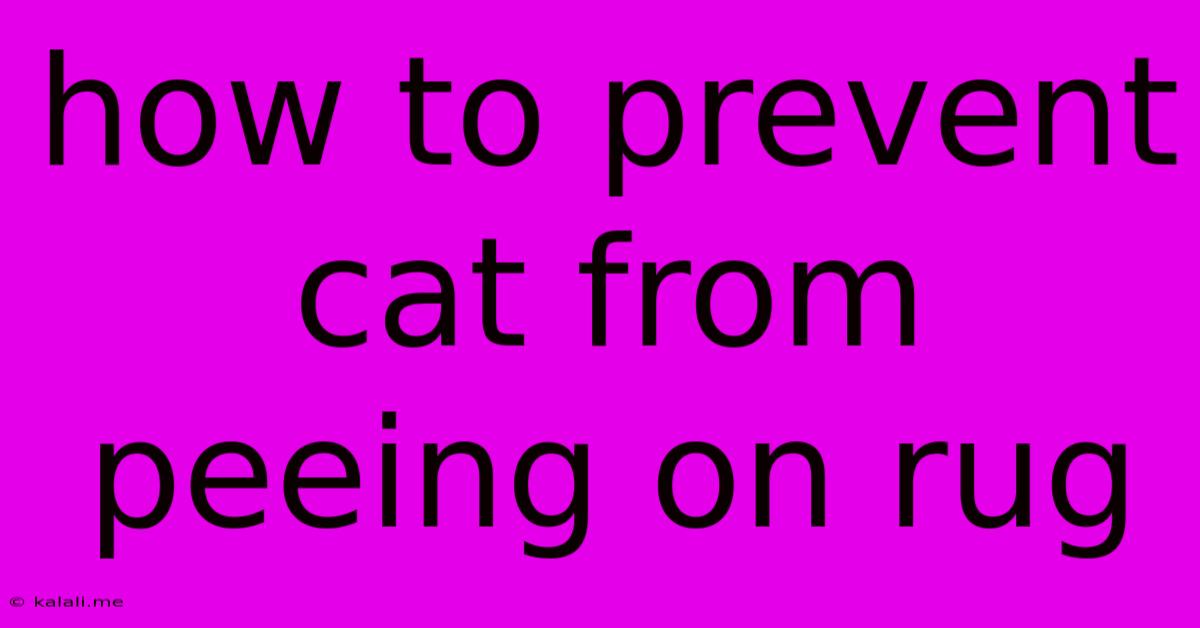 How To Prevent Cat From Peeing On Rug