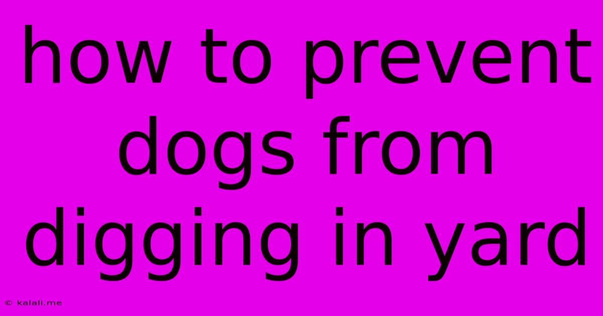 How To Prevent Dogs From Digging In Yard