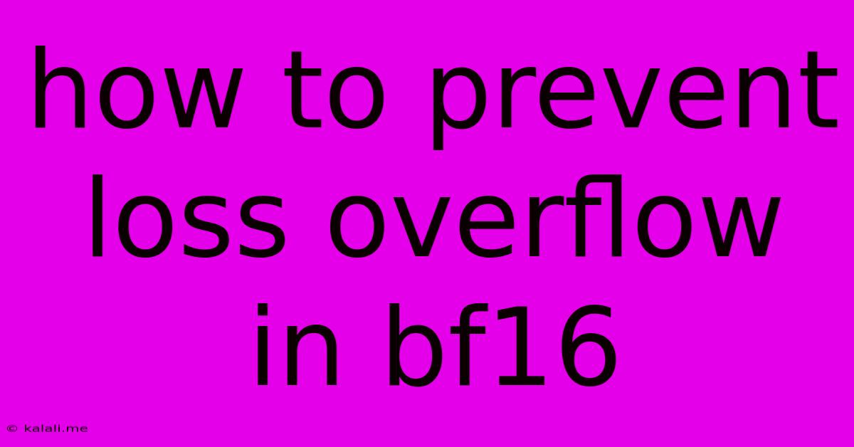 How To Prevent Loss Overflow In Bf16