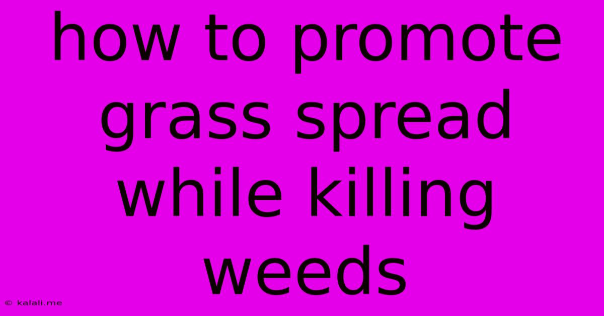 How To Promote Grass Spread While Killing Weeds