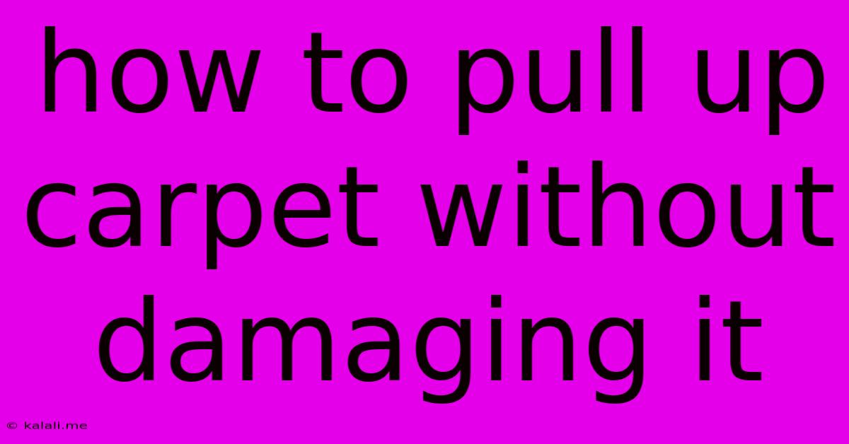 How To Pull Up Carpet Without Damaging It