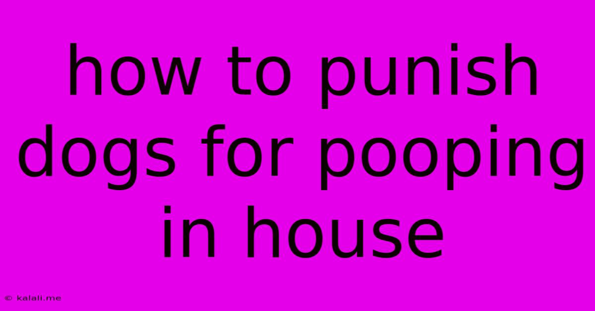 How To Punish Dogs For Pooping In House