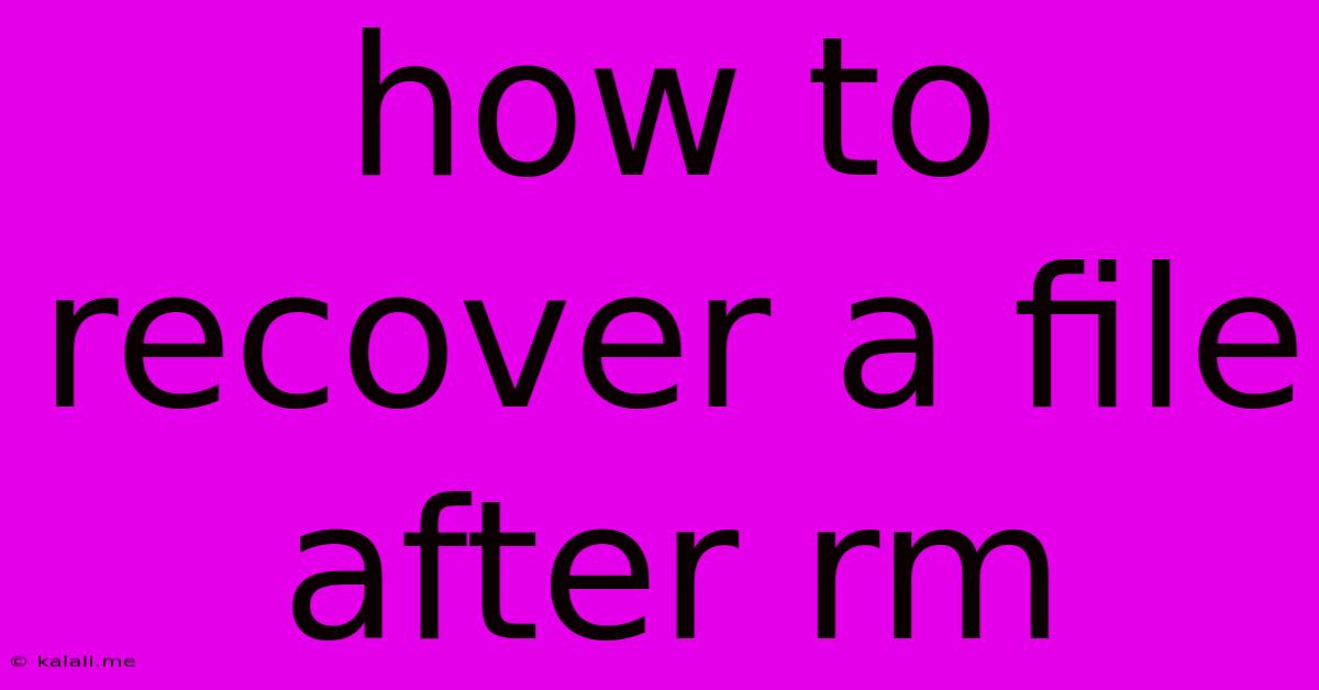 How To Recover A File After Rm