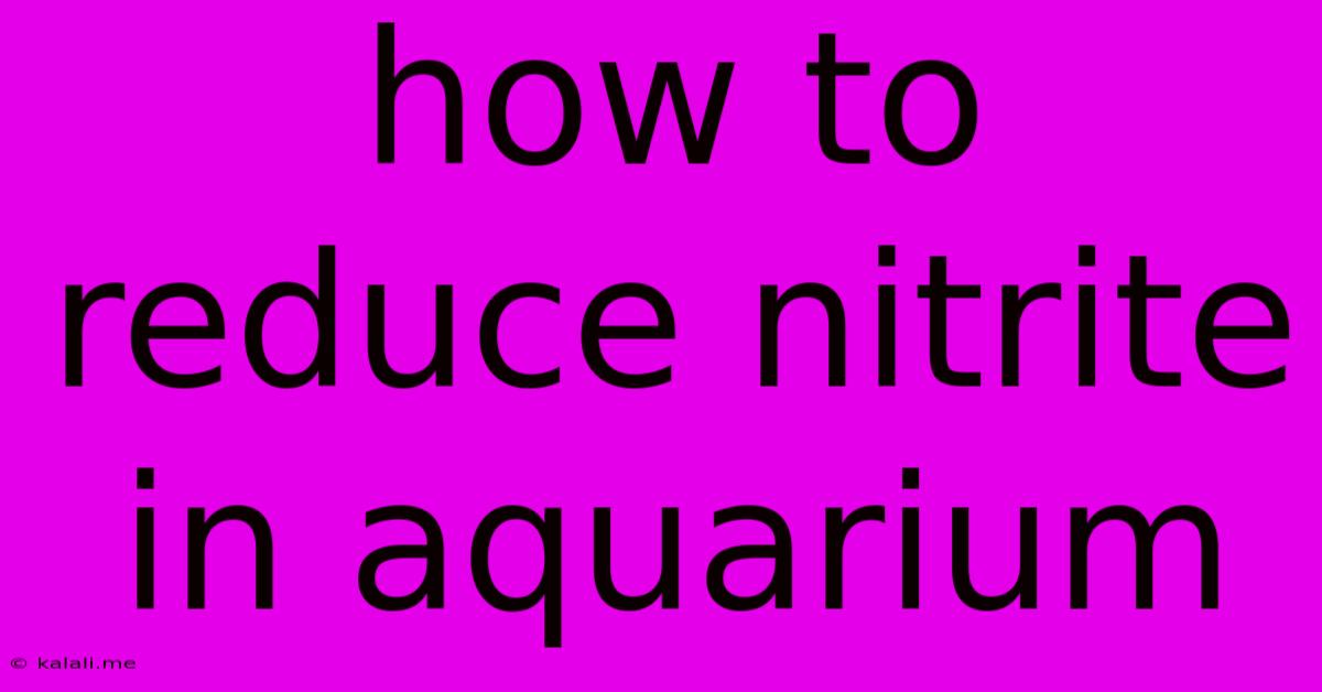 How To Reduce Nitrite In Aquarium
