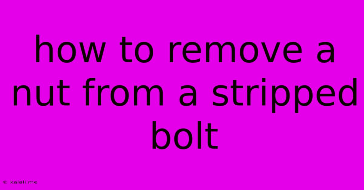 How To Remove A Nut From A Stripped Bolt