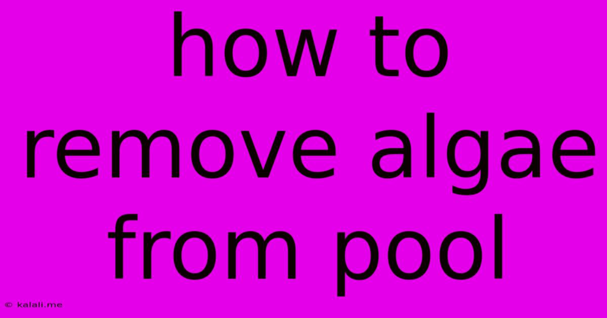 How To Remove Algae From Pool