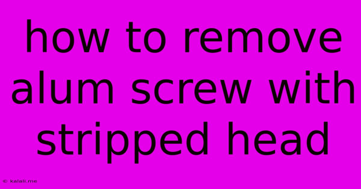 How To Remove Alum Screw With Stripped Head
