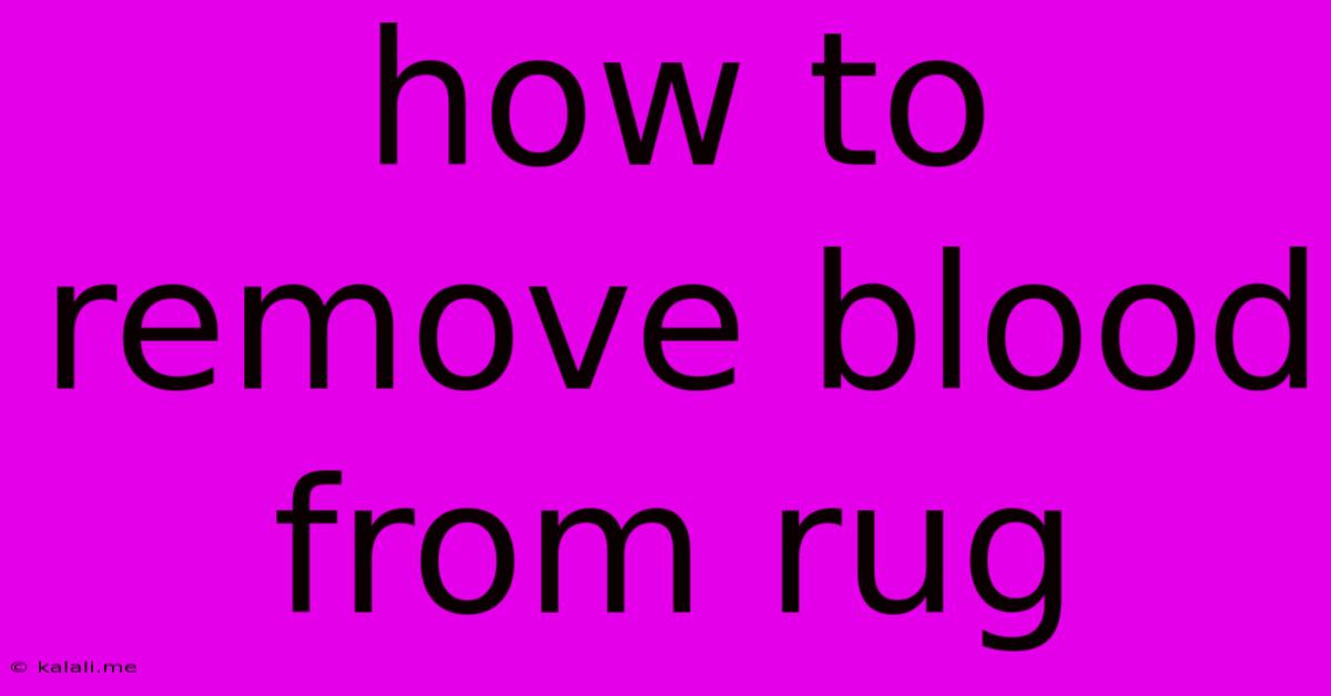 How To Remove Blood From Rug