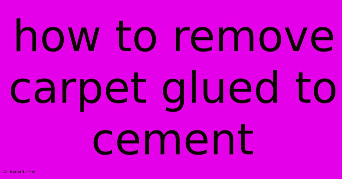 How To Remove Carpet Glued To Cement