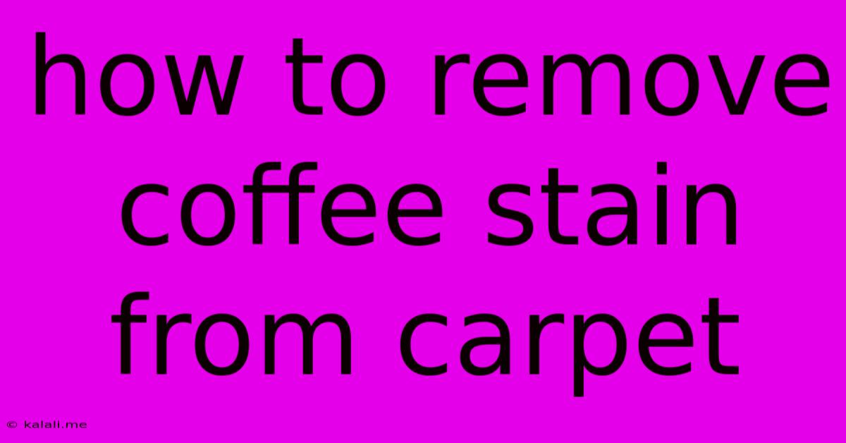 How To Remove Coffee Stain From Carpet