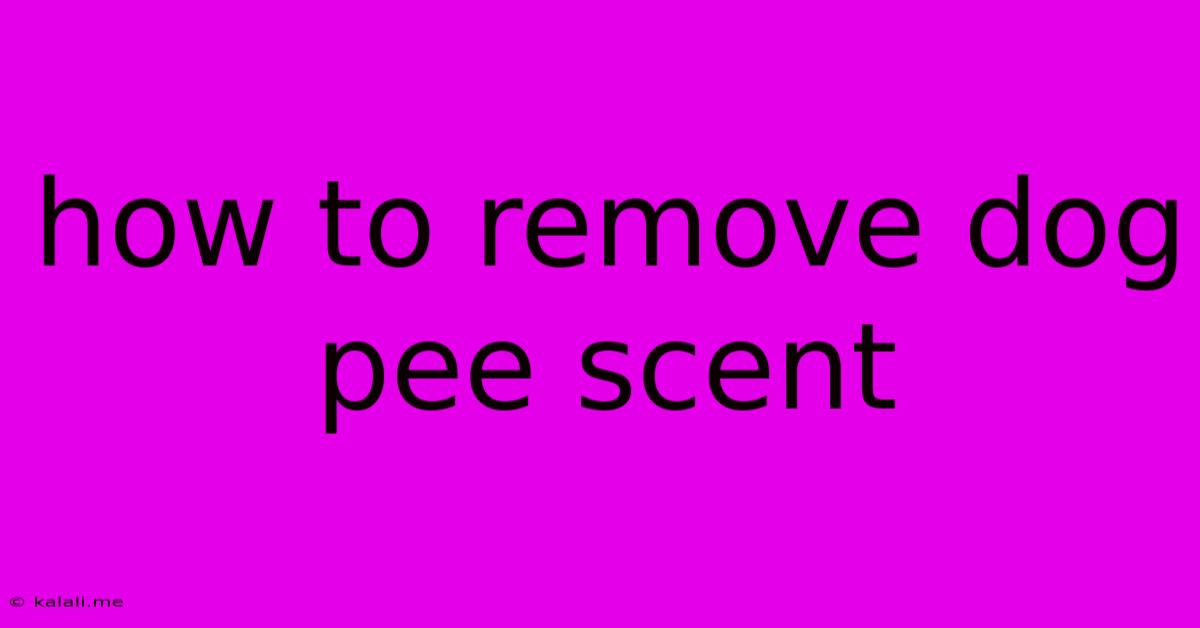 How To Remove Dog Pee Scent