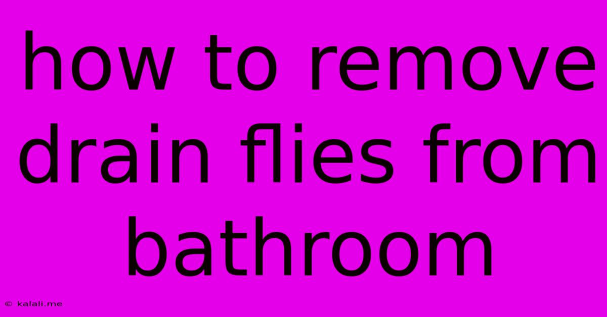 How To Remove Drain Flies From Bathroom