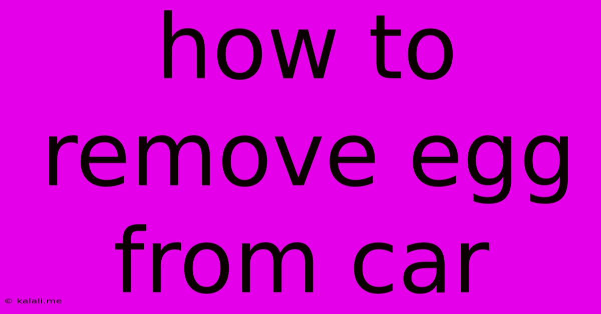 How To Remove Egg From Car