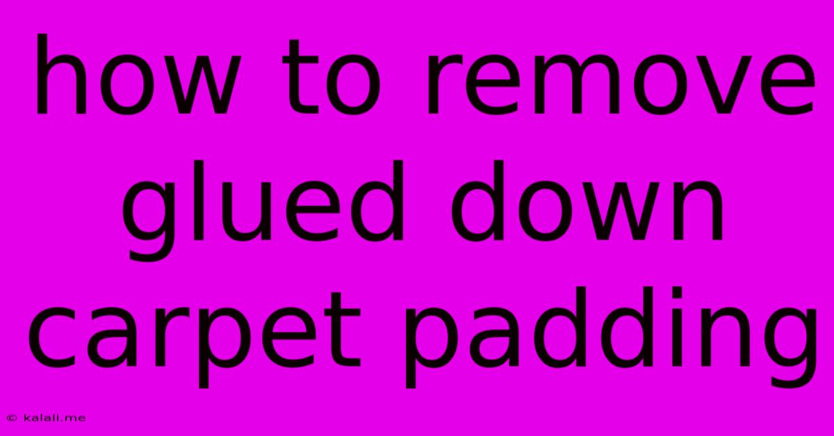 How To Remove Glued Down Carpet Padding