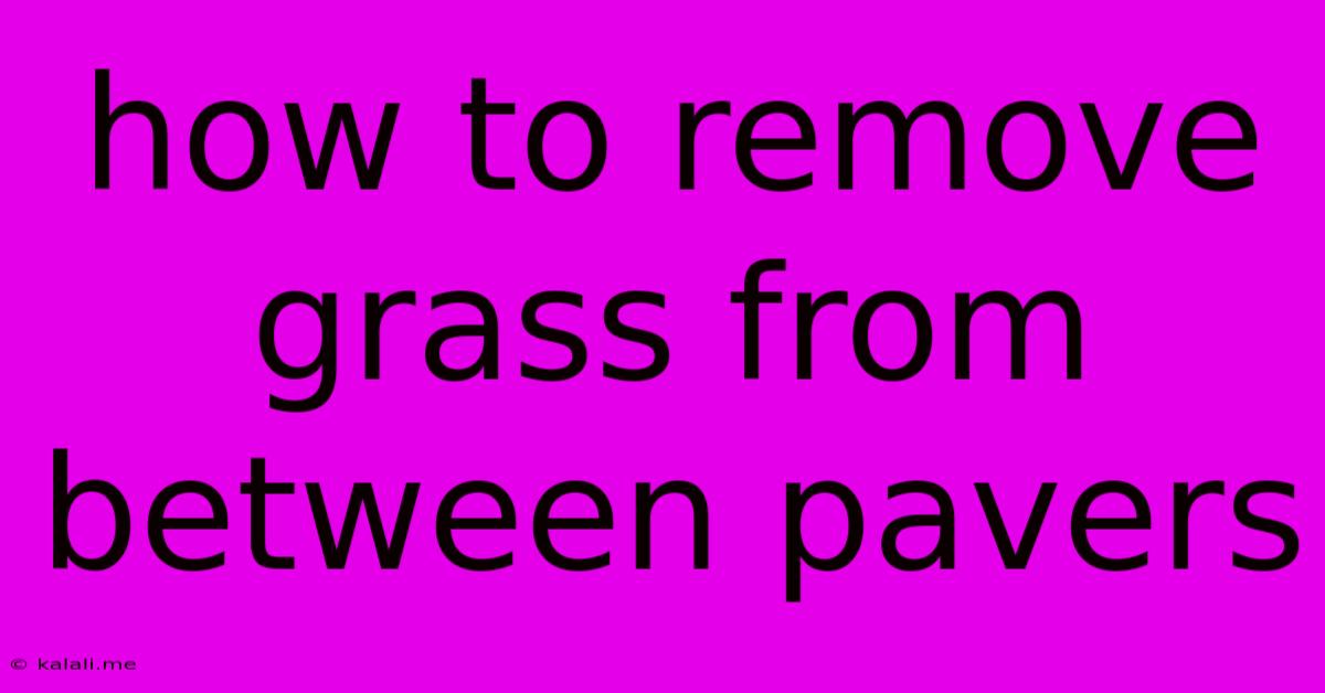 How To Remove Grass From Between Pavers