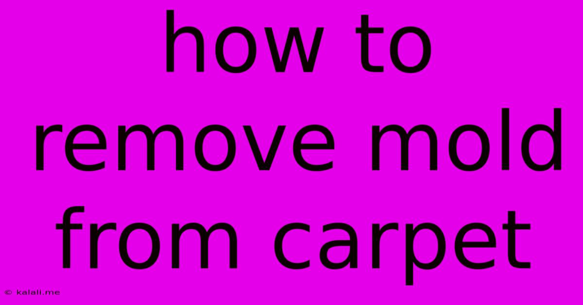 How To Remove Mold From Carpet