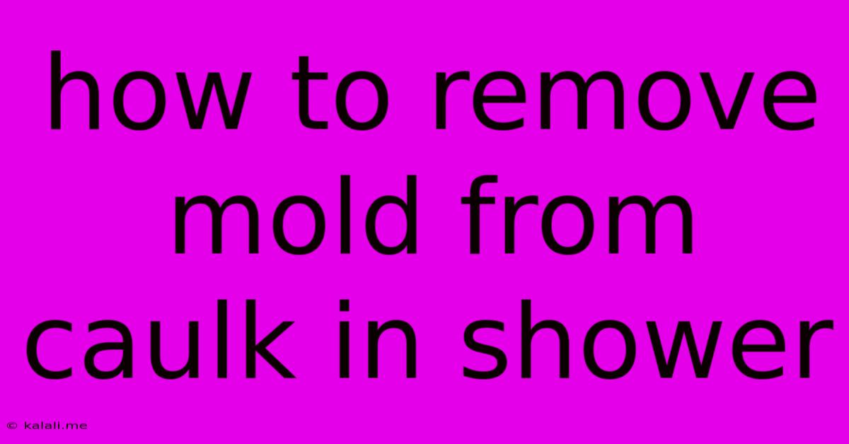 How To Remove Mold From Caulk In Shower