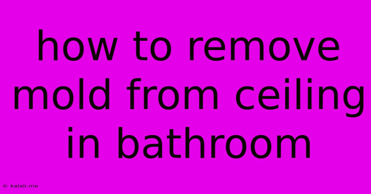 How To Remove Mold From Ceiling In Bathroom