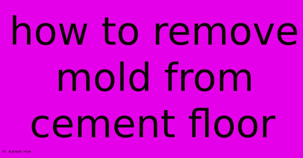 How To Remove Mold From Cement Floor