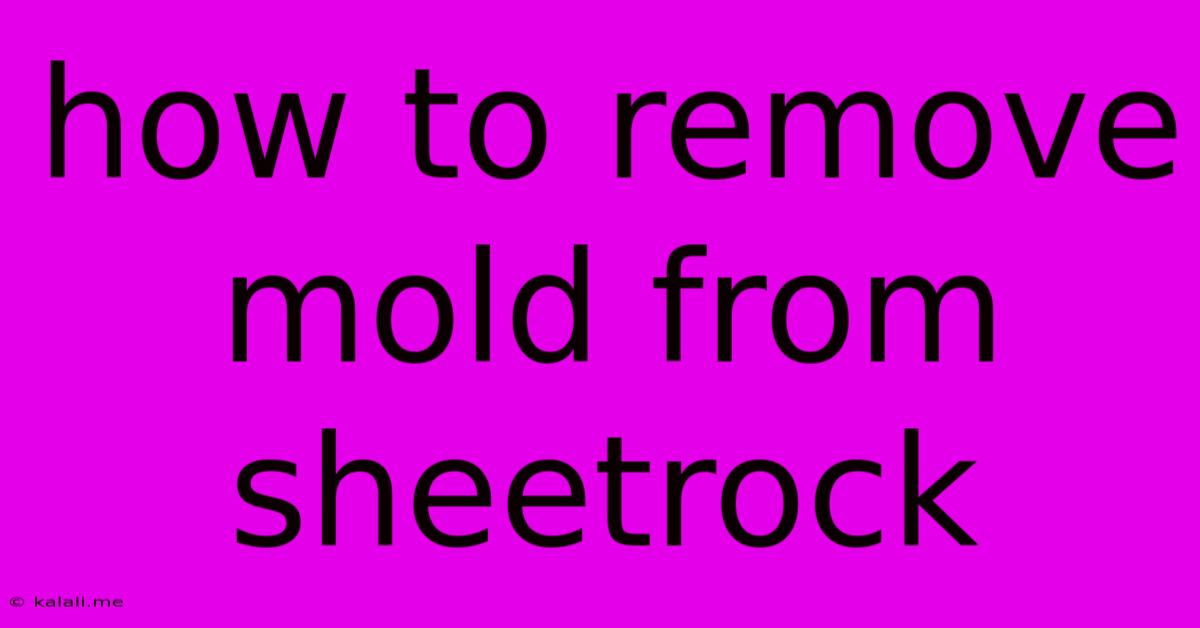 How To Remove Mold From Sheetrock