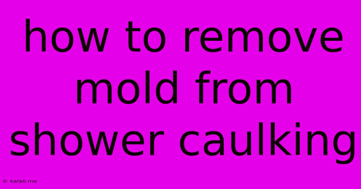 How To Remove Mold From Shower Caulking
