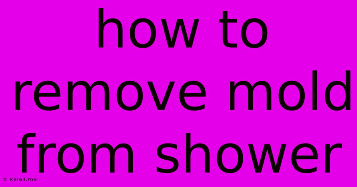 How To Remove Mold From Shower