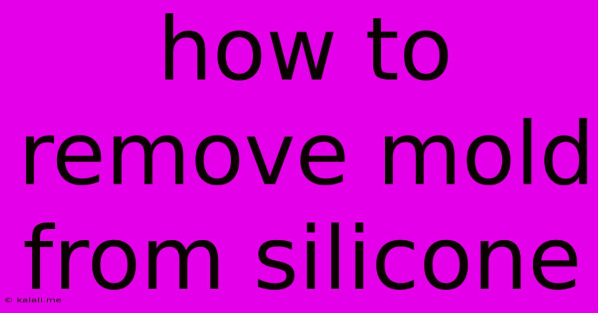 How To Remove Mold From Silicone