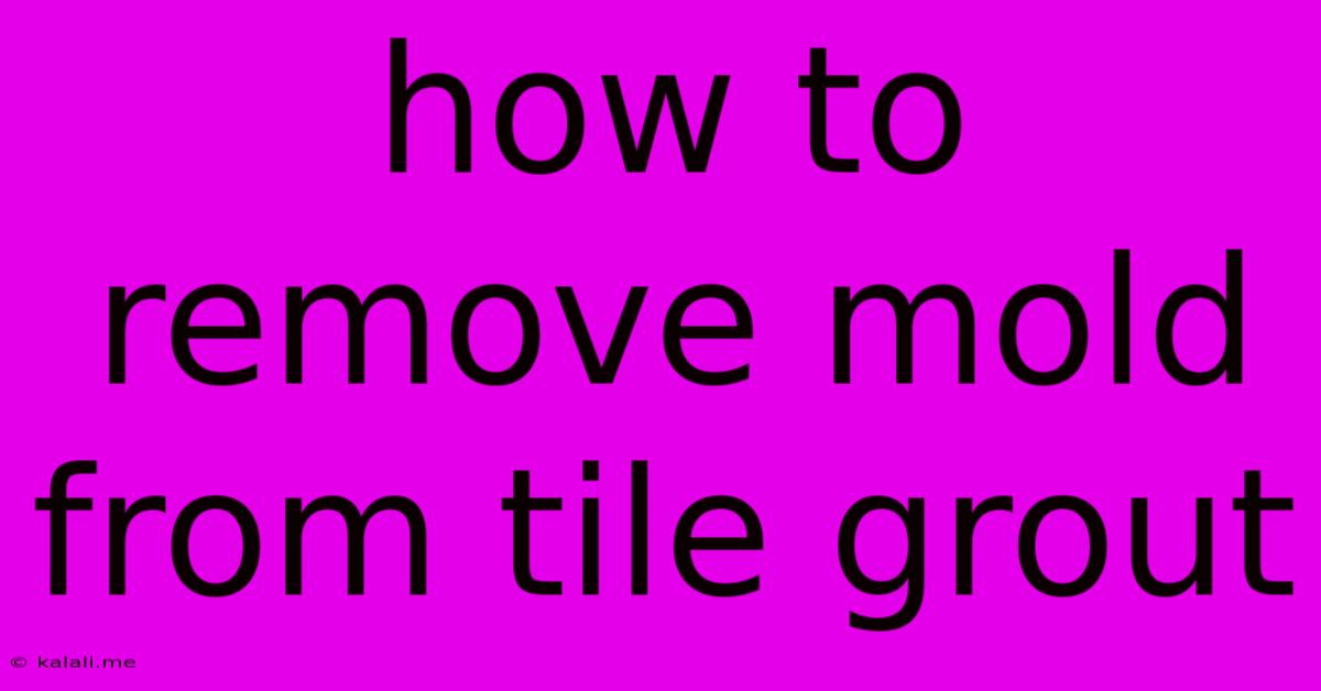 How To Remove Mold From Tile Grout