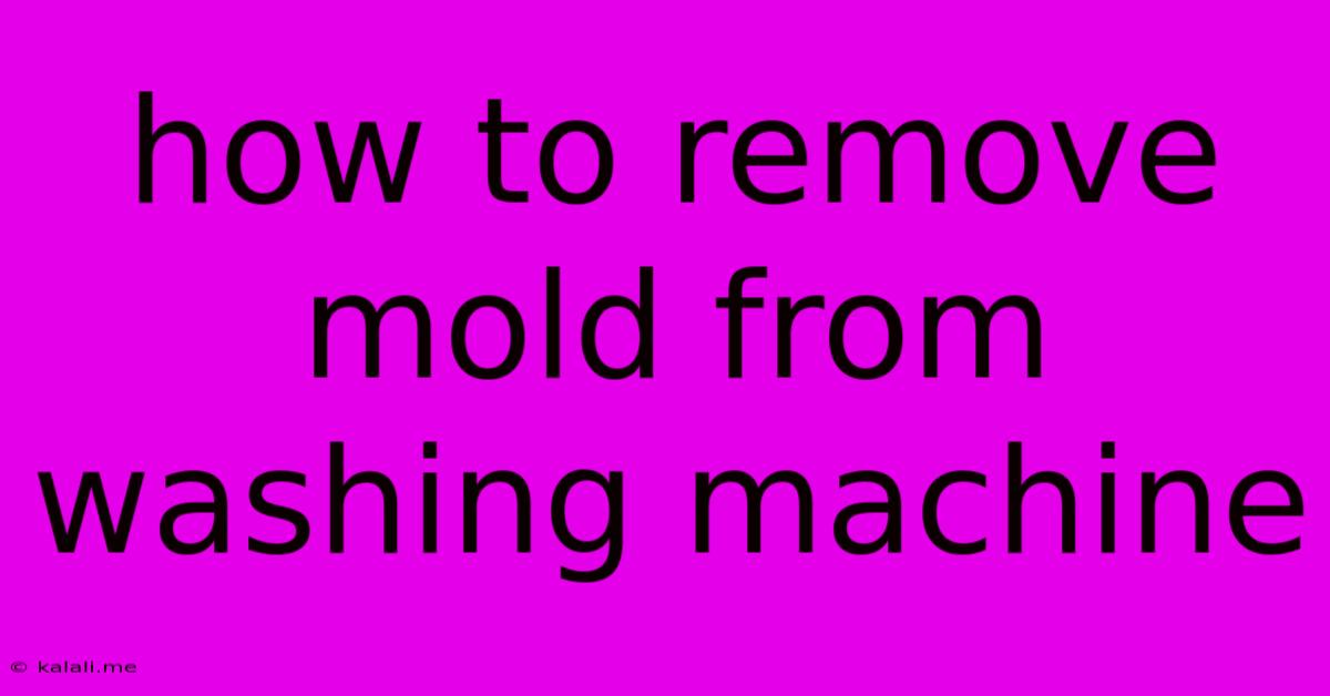 How To Remove Mold From Washing Machine