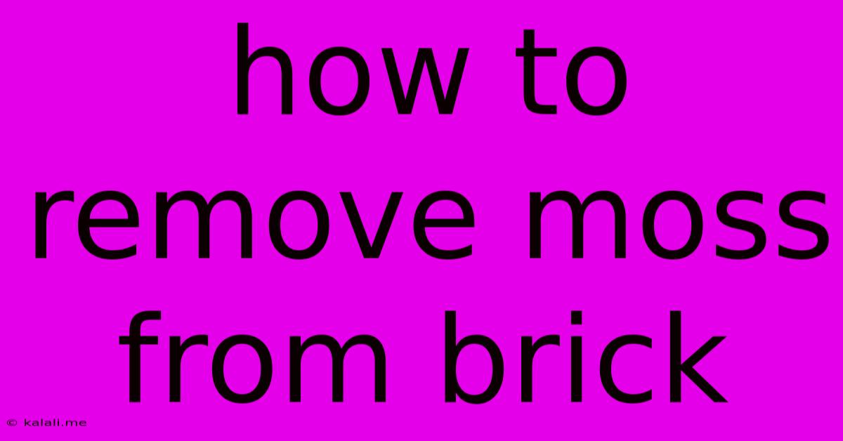 How To Remove Moss From Brick