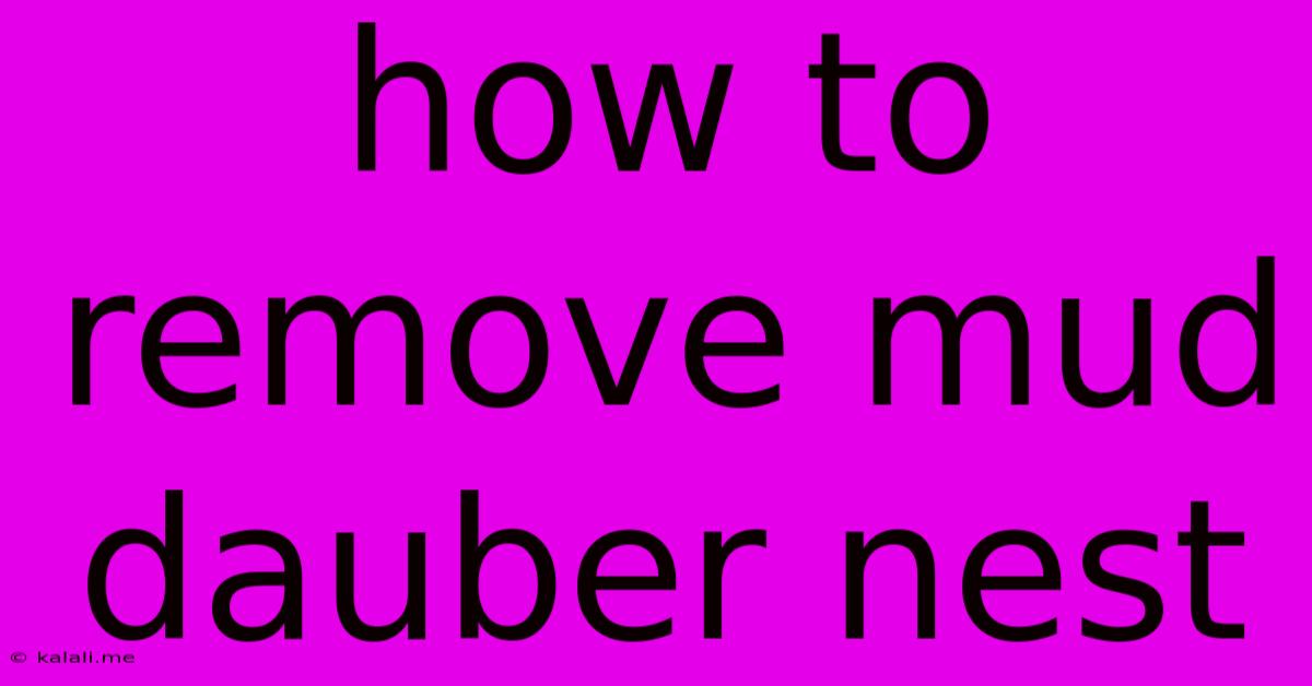 How To Remove Mud Dauber Nest