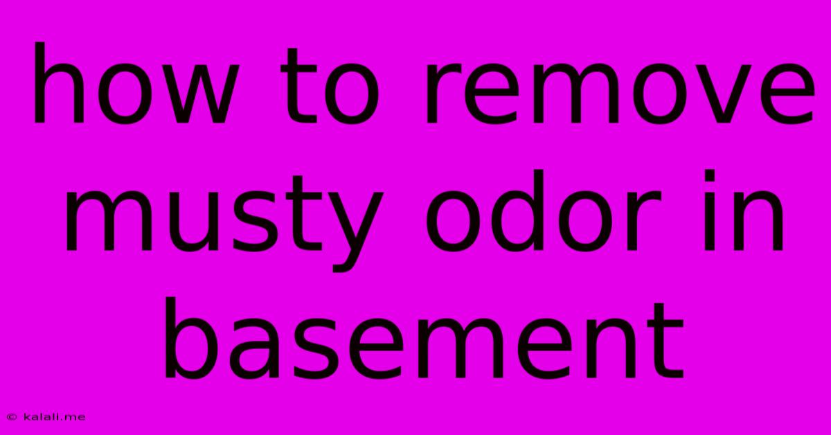 How To Remove Musty Odor In Basement